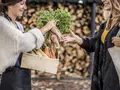 Marktschwärmer Berlin - Weißensee - Brotfabrik in Berlin